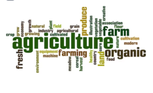 farming and Agriculture