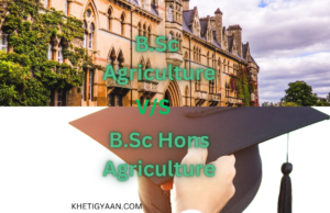 Read more about the article Understanding the Difference: B.Sc Agriculture vs. B.Sc Honours Agriculture