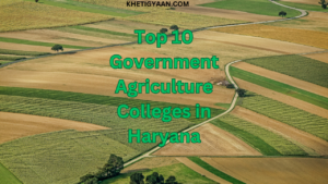 Top 10 Government Agriculture Colleges in Haryana