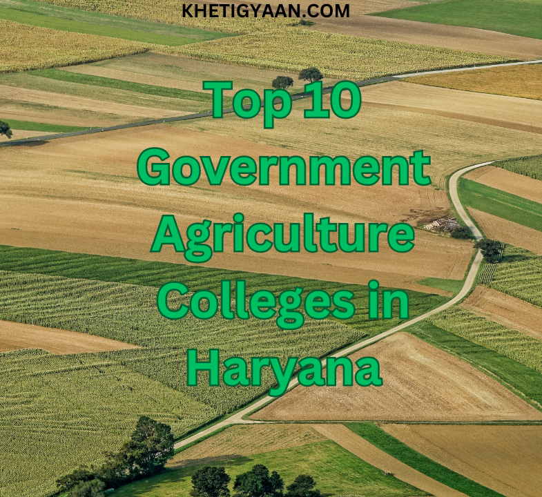 Read more about the article Nurturing Agricultural Excellence: Top 10 Government Agriculture Colleges in Haryana