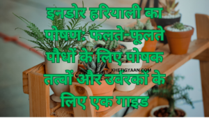 Read more about the article इनडोर हरियाली का पोषण: फलते-फूलते पौधों के लिए पोषक तत्वों और उर्वरकों के लिए एक गाइड