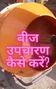 Read more about the article “गेहूं के बीज तैयार करने और उपचारित करने के लिए एक मार्गदर्शिका”