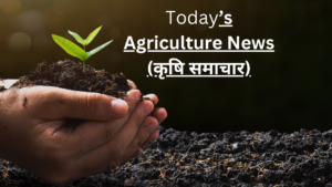 Read more about the article ICAR ने गेहूं किसानों को 25 दिसंबर तक बुआई समाप्त करने की सलाह दी है