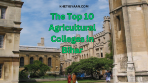 Read more about the article “Nurturing Agricultural Excellence: The Top 10 Agricultural Colleges in Bihar and Promising Futures”