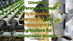 Read more about the article “Cultivating the Future: Unveiling Hydroponics, Aeroponics, and Aquaponics in Agriculture for Sustainable Growth”