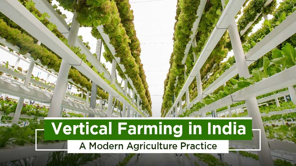 Read more about the article Vertical Farming: Can It Feed the Future?