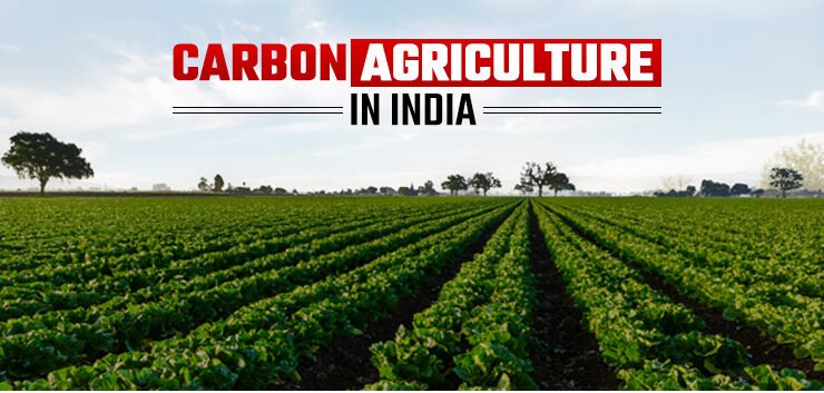 Read more about the article कार्बन फार्मिंग: जलवायु परिवर्तन से कैसे लड़ सकते हैं?