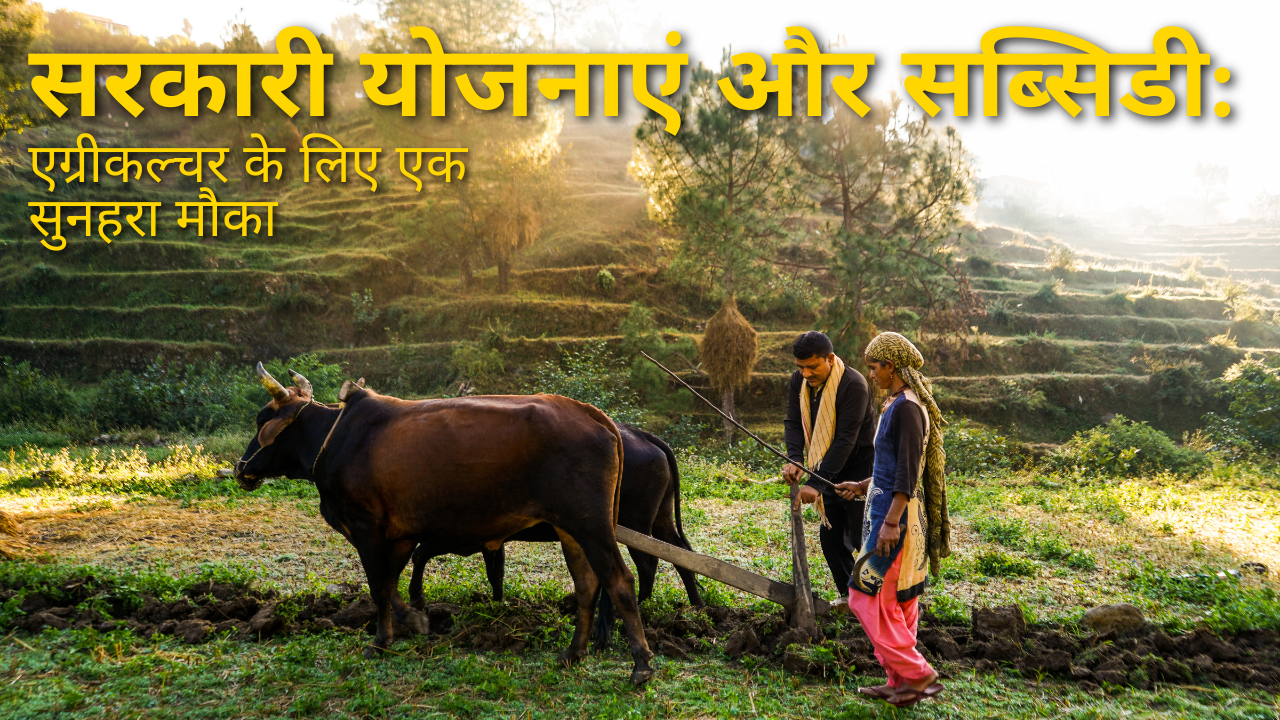 Read more about the article सरकारी योजनाएं और सब्सिडी: एग्रीकल्चर के लिए एक सुनहरा मौका