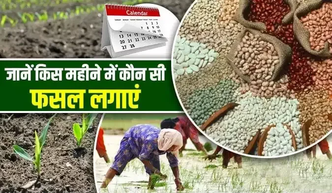 Read more about the article मौसमी खेती कैलेंडर:कौन सा पौधा कब लगाएं