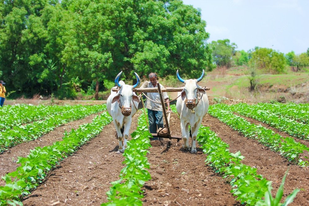 Read more about the article युगों के साथ कृषि पद्धतियों का विकास