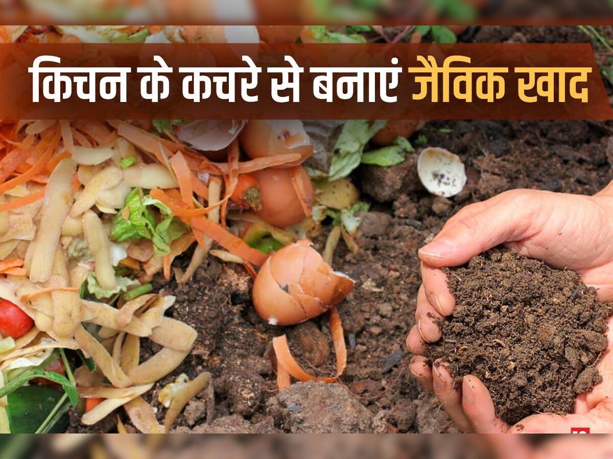 Read more about the article घर पर जैविक खाद बनाने की आसान विधि